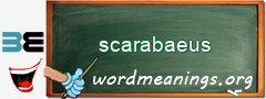 WordMeaning blackboard for scarabaeus